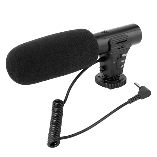 LRXIYODE Microphone Professionnel pour Caméra DSLR Bruit et Canal Sonore Mono, Micro pour Enregistrement et Interview, Matériau Plastique Noir, Compatible Caméscope