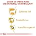 Royal Canin Poodle Adult | 4er Pack | 4 x 12 x 85 g | Nassfutter für ausgewachsene Pudel | Zur Unterstützung des Fells | Optimale tägliche Ernährung | Ab dem 10. Lebensmonat