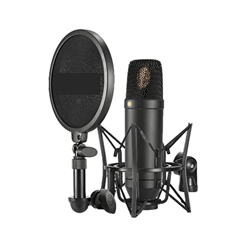 Microphone large membrane NT1 pour une dynamique vocale pure - 2