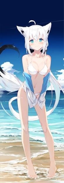 Amazon.co.jp: ホロ 白上フブキ 水着等身大タペストリー : おもちゃ