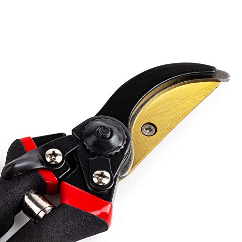Mr. Pen- Pruning Shears, Garden Shears, 8