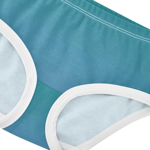 Joisal Teal Blue Steel Gradient Girls Underwear Toddler 2t Cotton Panties for Girl Florals Briefs Girls Undies4