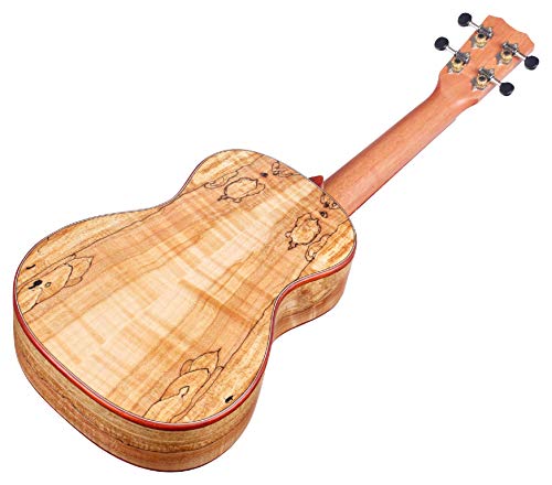 Cordoba-Soprano-Ukulele5