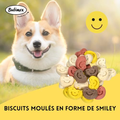 Bubimex - Smiley Cookies Leckerli für Hunde – Kekse Belohnung ideal zum Training – niedriger Fettgehalt – Snack Training – geeignet für alle Rassen und Größen – Eimer mit 1,3 kg
