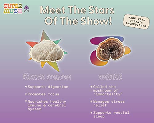 SuperMush Daily Flow and Focus SuppleMint | Lions Mane, Reishi, Rhodiola & Bacopa Monnieri Mixed Mushrooms Extract | Pure Breath Mint to Flow & Focus | 20g Organic Mushroom Mint - Image 4