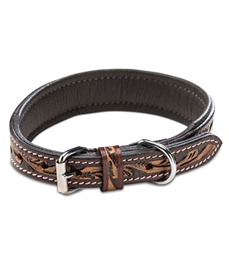 Jack & Russell Leder Hundehalsband – verstellbar, gepolstert & robust – handgeschnitzte Ornamente – Büffelleder Hunde Halsband Alexey (M (31,5-42,0cm)