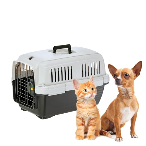 Ferplast Trasportino Gatto CLIPPER 1, IATA, Trasportino Cane Taglia Piccola e Gatti max 5 Kg, Trasportino Rigido, Viaggio Auto Aereo Treno, 50 x 33 x h 32 cm, Porta in Acciaio, Chiusura Sicura