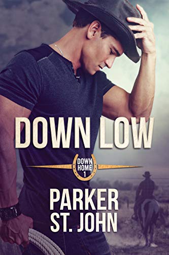 Down Low (Down Home Book 1) (English Edition)
