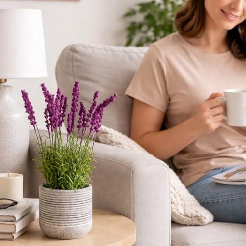 Image of Garden Art Artificial Lavender Plant with Pot - Flocked Purple Lavender Flowers in Textured Pot, Perfect for Home Decor, Office Desk & Gift Use (P-0230Pink)