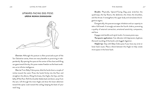 Living in the Light: Yoga for Self-Realization Hardcover – January 3, 2023 - Image 5