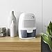 hOmeLabs Small Space Dehumidifier with Auto Shut Off - Compact and Portable