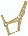 Hamilton 3/4" Nylon Quality Pony or Average Miniature Donkey Halter, Gold