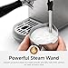 HiBREW Espresso Machine 20 Bar, Semi-Automatic Cappuccino Maker with Milk Frother for Latte Art, Adjustable Temperature & Water Volume, with Display, Pressure Gauge & Stainless Steel Body