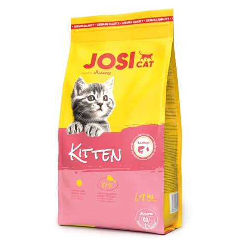 Image of JosiCat Kitten Junior Premium Dry Food for Growing and Carrying (1.9kg x 3) & Lactating Cats with High Energy Content & Valuable Salmon Oil & Vitamins Powered by Josera