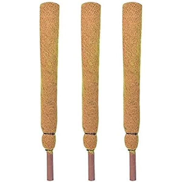 SHANS COCOCRAFT Coco Pole - Coir Stick (Brown, 4 Ft) Pieces (3) (B0CGNZW7LK) Amazon Price History, Amazon Price Tracker