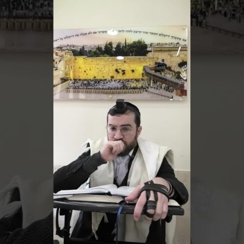 כלל ז חלק ו | האם דוד המלך קיבל לשון הרע על מפיבושת?!? | ביאור מורחב ל"דברים הניכרים"