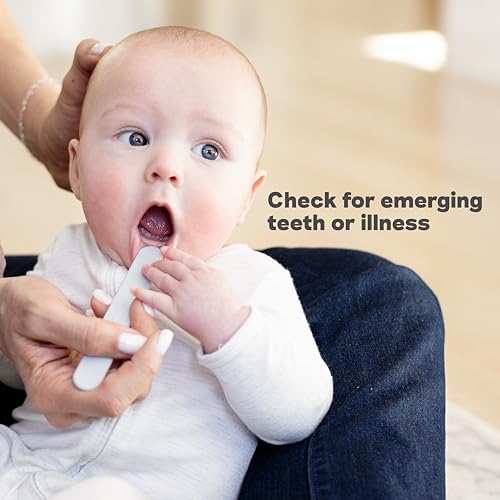 Image of ezpz Sensory Tongue Depressors - All Ages (2 Pack in Sage /Pewter) - Silicone /Stainless Steel Tongue Depressor for Visibility Into The Mouth + Healthy Oral Care Routine