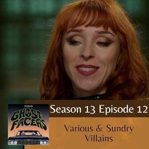 13.12: Various & Sundry Villains