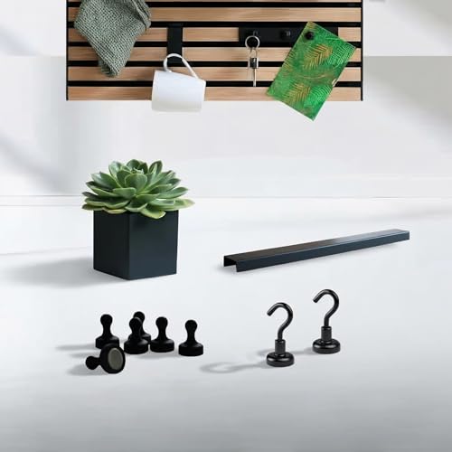 Steinmine - Designmanufaktur - Steinmine - Designmanufaktur Zubehör-Set für Wandorganizer oder Akustikpaneele Holz - mit Behälter inkl. Sukkulente Pflanze, 2 Magnethaken, 5 Magnet Pins, Magnetleiste