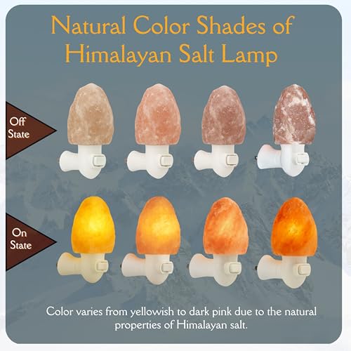 Image of Spantik Pink Himalayan Salt Lamps - Hand Carved, Natural Night Lights for Bedrooms and Home Decor (Pack of 2)