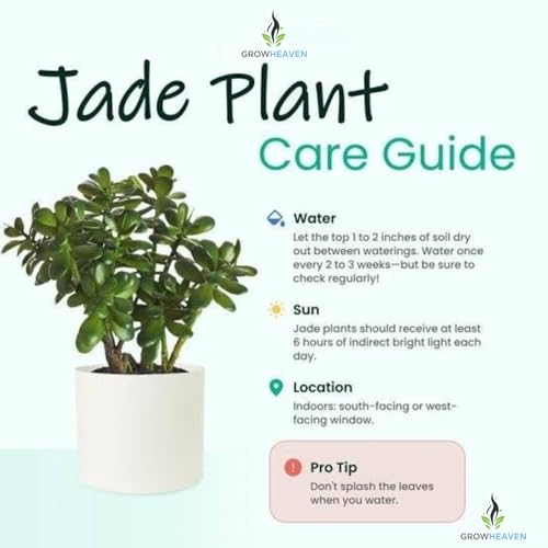 Image of live plants (JADE)