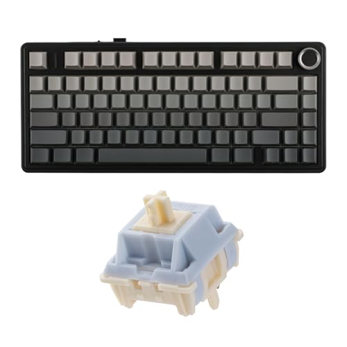Teclado Mecánico EPOMAKER Aula F75 Compacto 75%