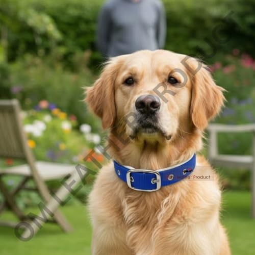 Image of Dog Collar with Padding | 01 Inch Width | Nylon Padded Collar | Easy to Clean | Best for Activities Like Walking, Training, Running and More (Blue)