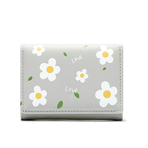 QAZSE - Monedero para mujer, diseño floral, diseño de flores, Gris Floral (Gris) - 921K-1