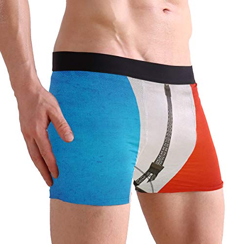 Men's Underwear Eiffel Tower On French Flag Boys' Boxer Brief4