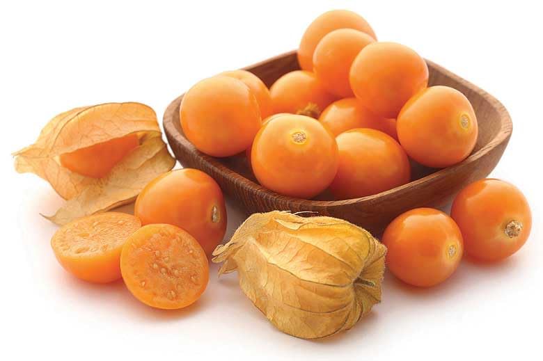 ROYAL PARADISE GARDEN Goldenberry Plant (Physalis peruviana) Golden Berry Seeds (Pack of 30 Seeds) (B0CV5RR8MF) Amazon Price History, Amazon Price Tracker