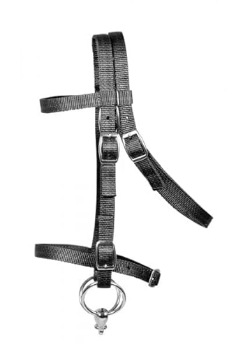 Pfiff 102291 Sattel-Set Komplettausstattung für Shetty und Holzpferde/Plüschpferde, Schwarz