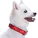 Blueberry Pet 7 Patterns Soft & Comfy Scottish Aileen Red Plaid Tartan Style Designer Padded Adjustable Dog Collar, Medium, Neck 14.5
