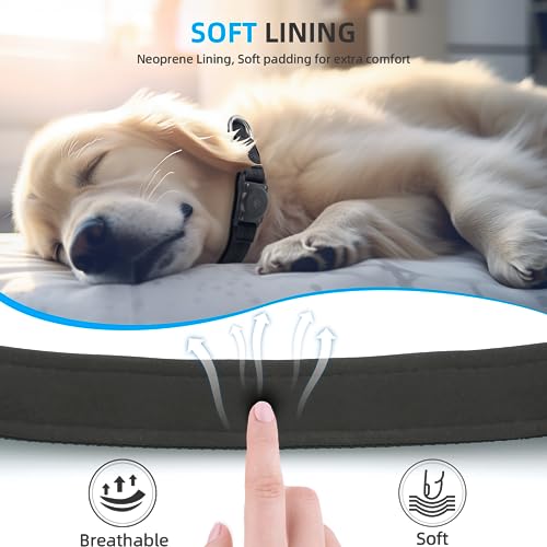 Image of Upgrade Dog Collar with AirTag Holder, IP68 Waterproof, Black, L