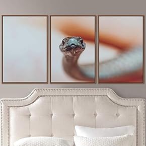 signwin 3 Piece Framed Canvas Wall Art Snakes...