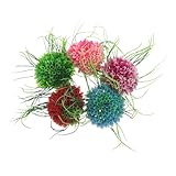 VERDANVERSE Plantas Artificiales para Acuarios 5 Piezas Césped Artificial Realista de Plástico Multicolor Azul Rosa Verde Morado Rojo para Decoración y Paisajismo de Peceras