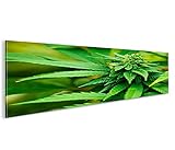 islandburner Bild Bilder auf Leinwand Weed Grass Ganja 