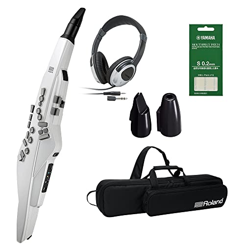 Roland AE-20W P[X wbhz p}EXXs[XZbg GAtH EChVZTCU[ 2023NVJ[ [h