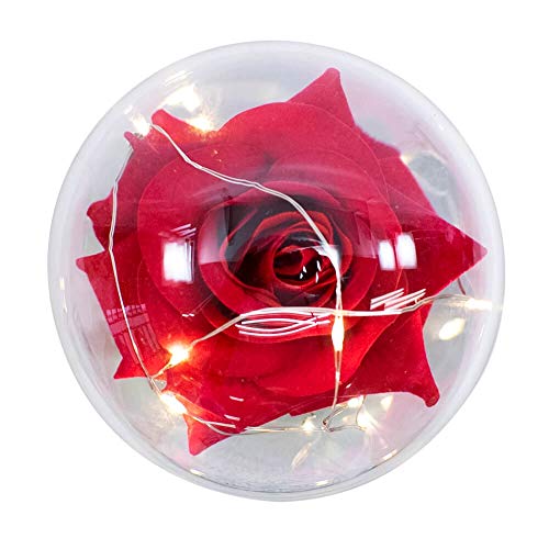 Luminária A Bela E A Fera A Rosa Encantada 22cm