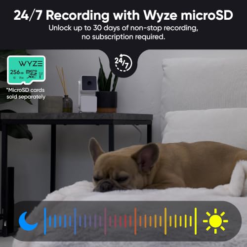 WYZE Cam Pan v3, Indoor/Outdoor Security Camera with 360° Pan/Tilt/Zoom - image 9