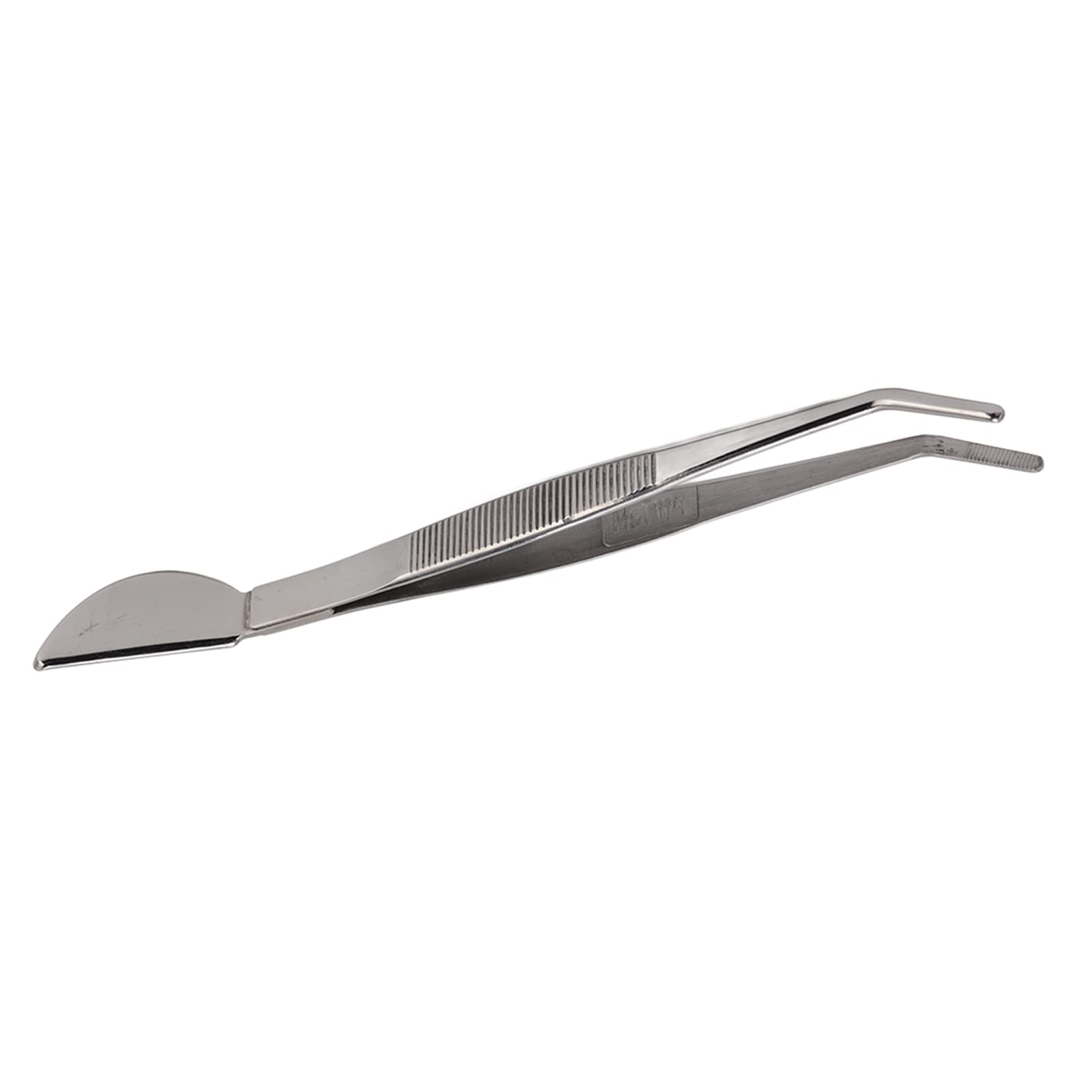 Denash Bonsaïs en Acier Inoxydable et Longues Pinces pour la Lollo, pour les Jardiniers et les Amateurs de bonsaï, 1 X en Acier Inoxydable (Courbé)