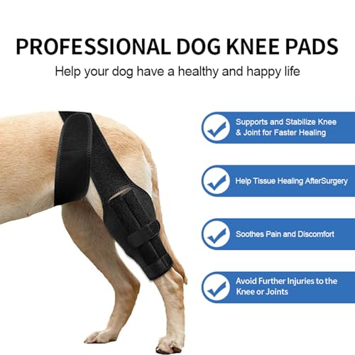 Image of Dog Knee Brace,Brace for Torn Hind Legs,Hip Knee and Leg Support for Hip Luxating Patella,Comfortable and Adjustable (M)