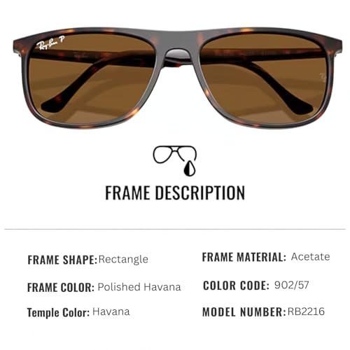 Ray-Ban RB2216 Rectangle Shaped Sunglasses for Men & Women with Official RAYBAN Eyewear Kit2