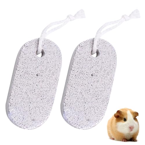 Gurfzcyuoo Dog Rocks Kauspielzeug für Haustiere, Zahnstein, Hamster, Kauspielzeug für syrische Hamster, Kaublock, Snacks für Hamster, Kaninchen, Papageien, Rennmäuse, Ratten, Chinchillas, 2 Stück