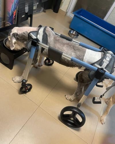 Carrito para caminar para mascotas con soporte de 4 ruedas de paseo diario