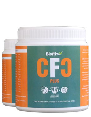 DASHANTRI Netsurf BIOFIT CFC Plus Extracts Concentrate Plus (500 g) - Pack of 2 (B09C3PGNTT) Amazon Price History, Amazon Price Tracker