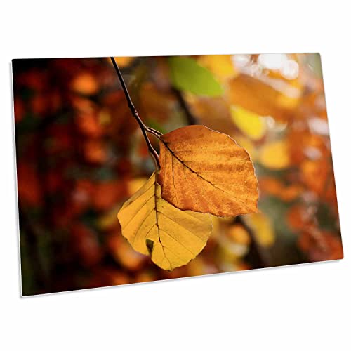 3dRose Pad para Escritorio Hojas Doradas Otoño