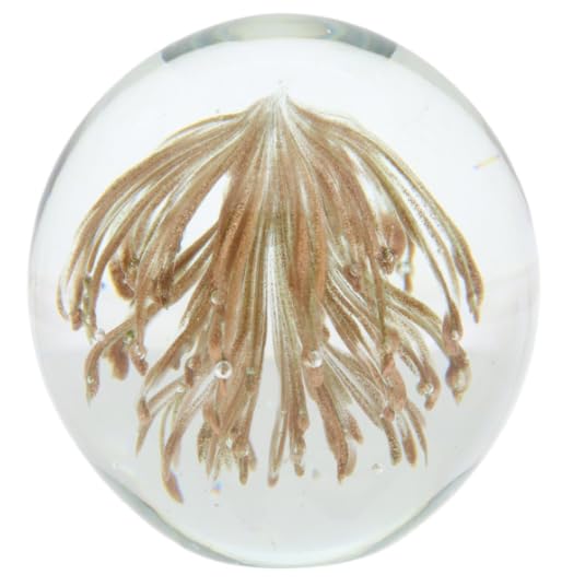 Fermacarte in vetro artigianale medusa dorata – scultura decorativa marina – 10 cm | Design Floreale Interno, Vetro Soffiato, Decorazione dell'Ufficio, Forma Rotonda, Effetto Decorativo