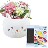 花のギフト社 お供え ペット 花 猫 生花 お供え物 お悔やみ 線香 白猫 命日 ペット用お供え花