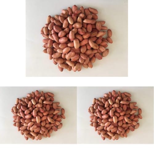 Image of Ancy Dry Fruits(Peanut Raw 1Kg) (Pack of 3)