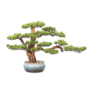 Simulatieboom Faux bonsai boom kamerplant, dennenbonsai plant keramiek ronde pot, kiezels gebruikt for thuis woonkamer…